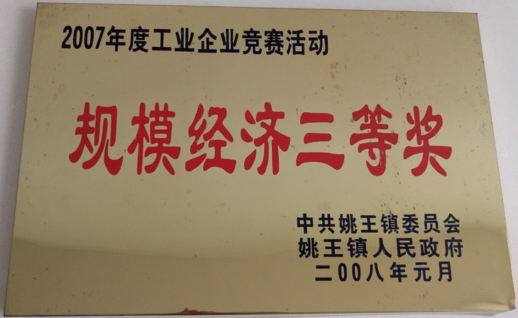 規(guī)模經(jīng)濟(jì)三等獎