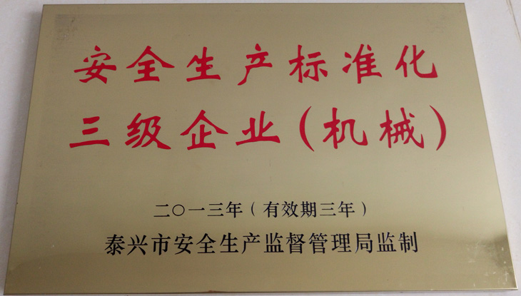 安全生產(chǎn)標(biāo)準(zhǔn)化三級企業(yè)