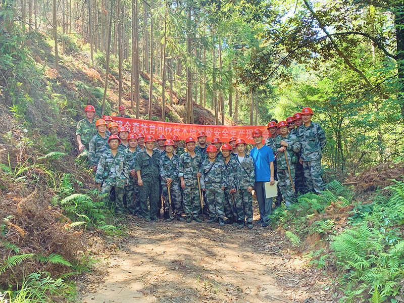 嚴把森林培育質(zhì)量關，譜寫資源培育新篇章
