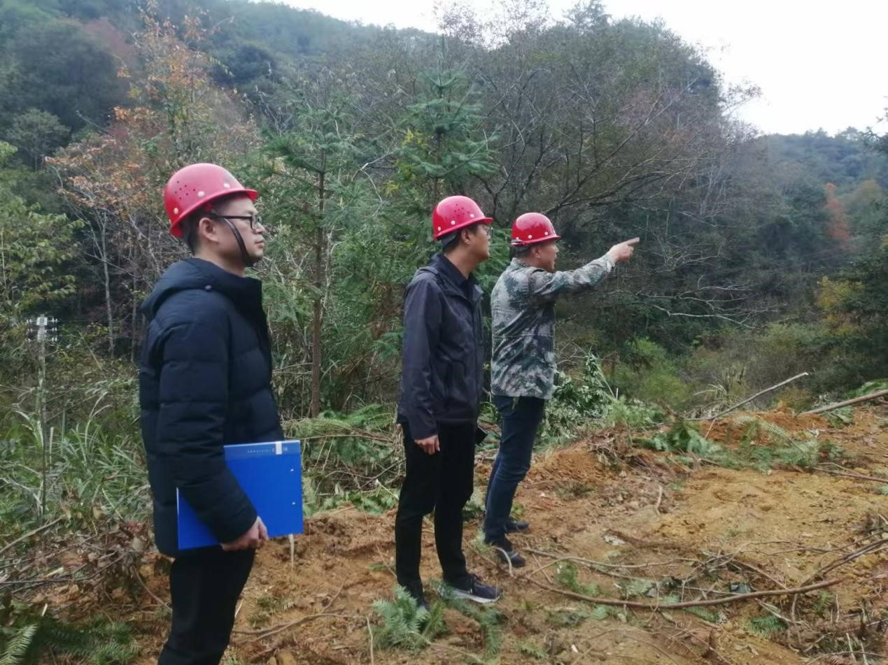 全面強化安全責任，嚴守森林防火線——福建金森全力保障生產安全