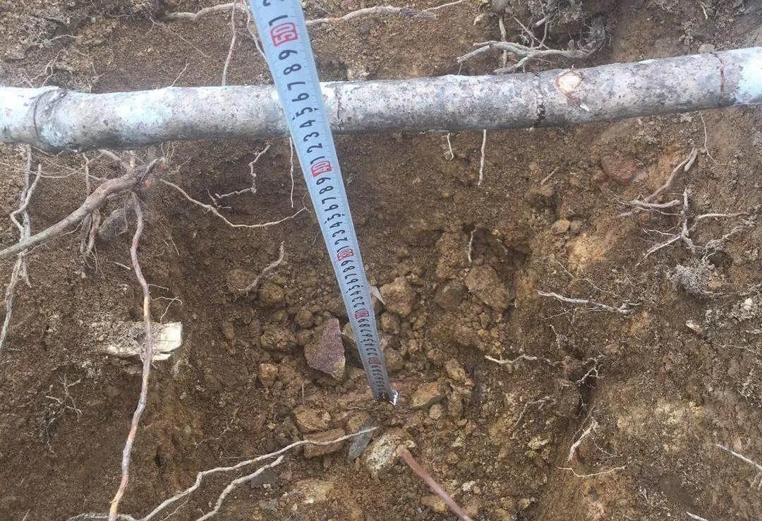 防疫不松懈,生產不耽誤 防疫不松懈,生產不耽誤