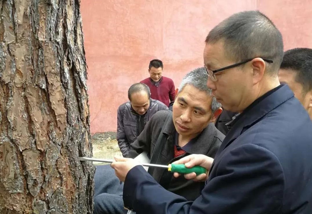 金森公司開展森林病蟲害防治培訓 金森公司開展森林病蟲害防治培訓