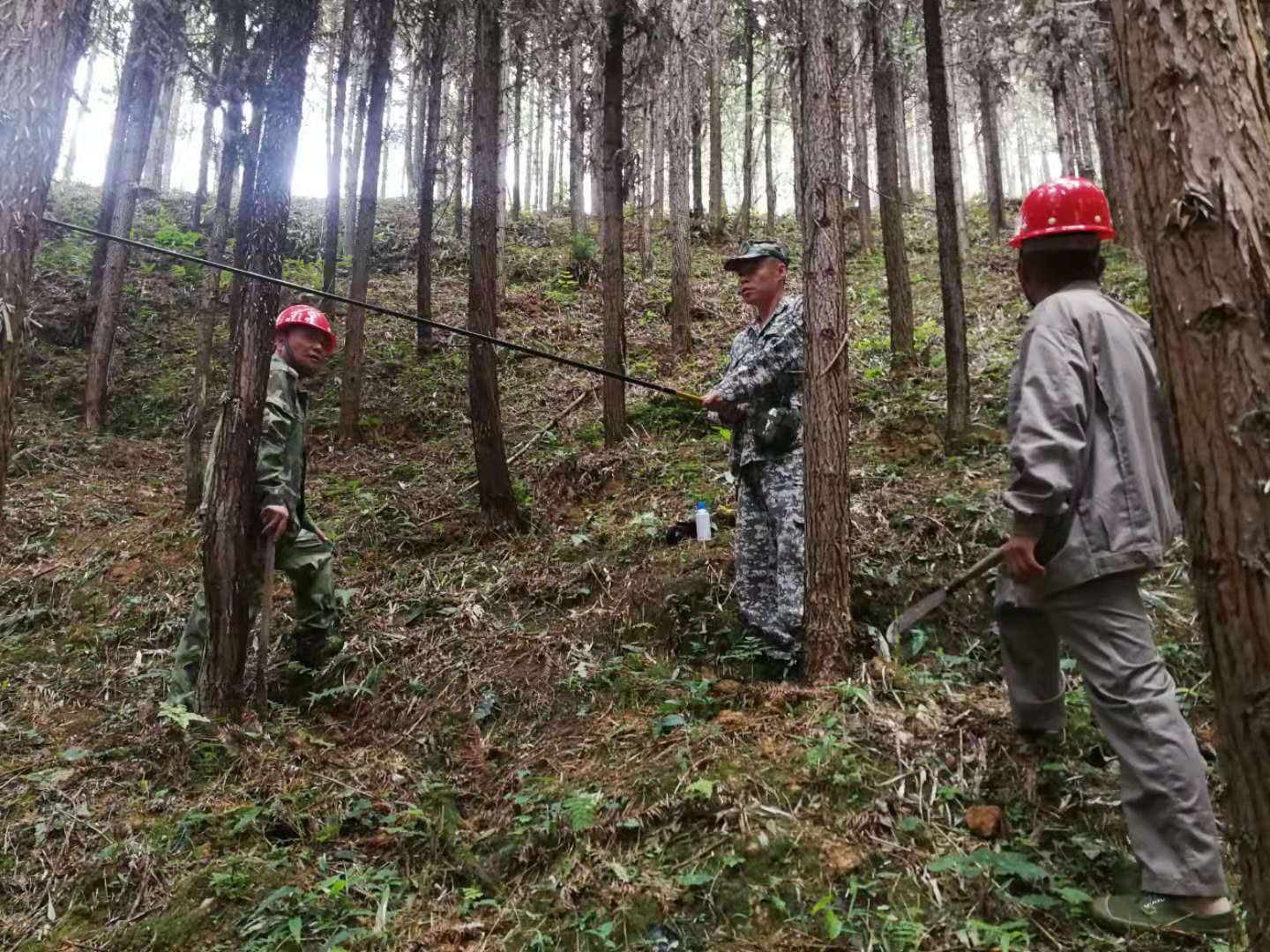 支部結對共建 促進黨建業務“雙提升” 支部結對共建 促進黨建業務“雙提升”