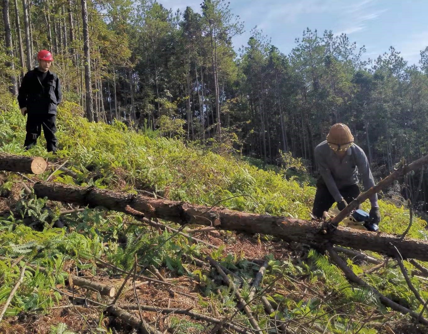筑牢安全防線,守護(hù)一方平安 ——將溪分公司安全生產(chǎn)工作紀(jì)實(shí) 筑牢安全防線,守護(hù)一方平安 ——將溪分公司安全生產(chǎn)工作紀(jì)實(shí)