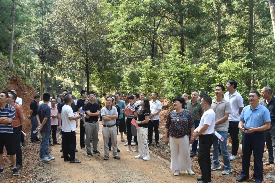 琵琶丘工區(qū):三明市森林質(zhì)量精準(zhǔn)提升工程業(yè)務(wù)培訓(xùn)現(xiàn)場(chǎng)示范 琵琶丘工區(qū):三明市森林質(zhì)量精準(zhǔn)提升工程業(yè)務(wù)培訓(xùn)現(xiàn)場(chǎng)示范
