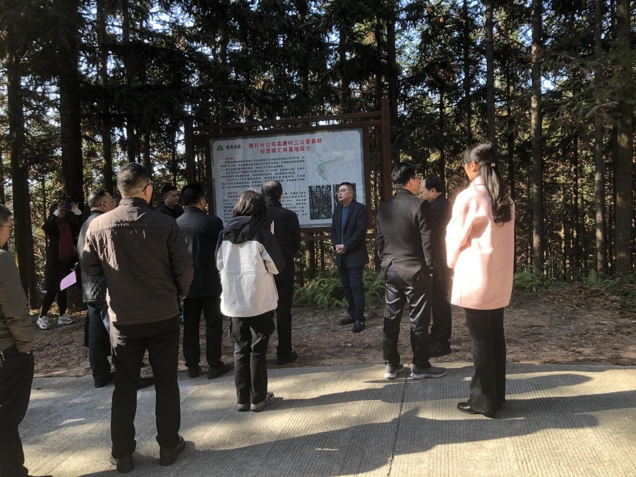重慶市林業局一行至福建金森考察 重慶市林業局一行至福建金森考察