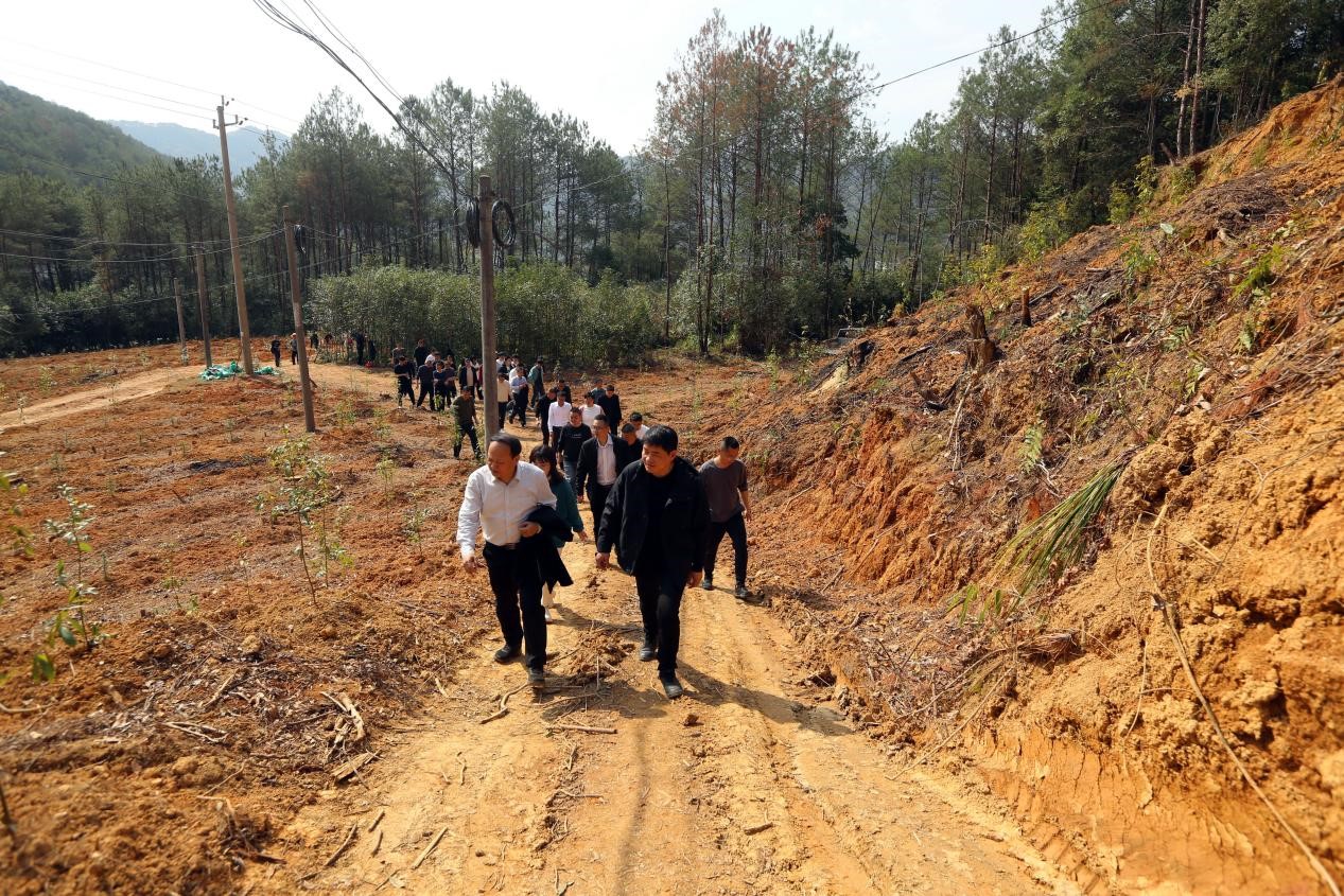 不負(fù)春光好，搶播萬畝林 ——將樂縣村企合作造林工作現(xiàn)場(chǎng)會(huì)在福建金森召開